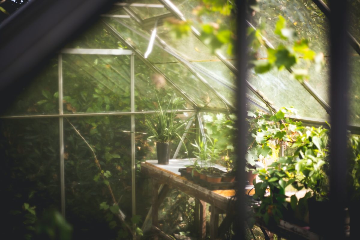 Home Tips: Things to Consider Before Planning a Greenhouse Expansion
