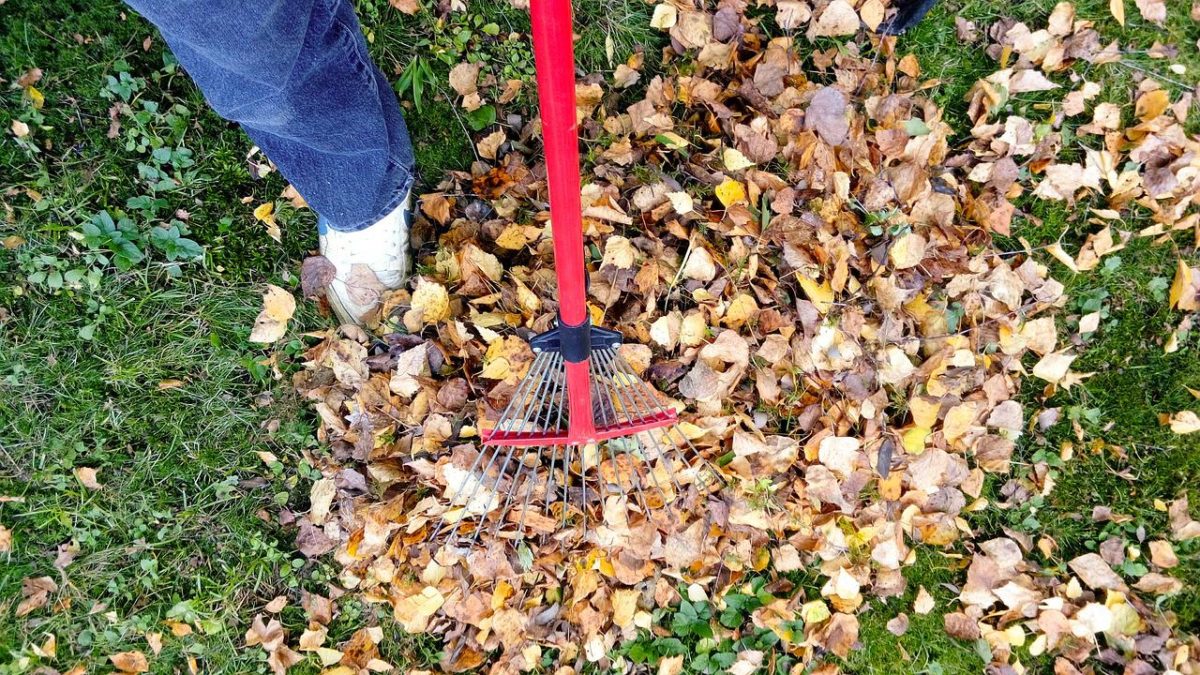 Simple Tricks to Clean Up Your Yard After a Storm